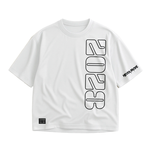 2028  luxury streetwear oversized heavyweight t-shirt