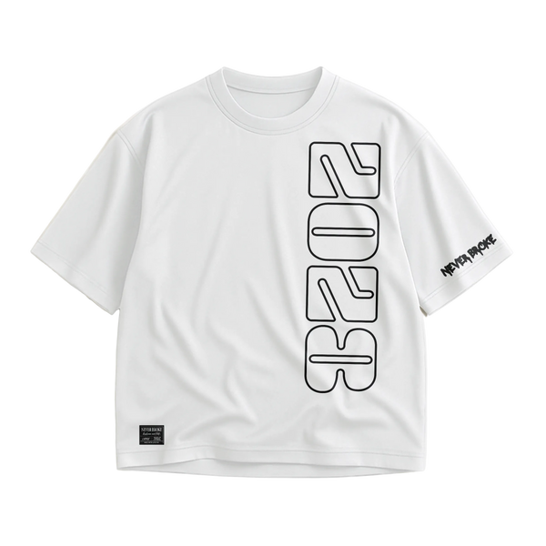 2028  luxury streetwear oversized heavyweight t-shirt